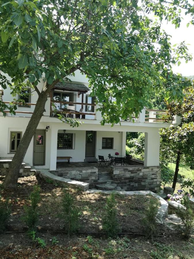 Villa Delux House In Tsangarada Tsagkarada Exterior foto