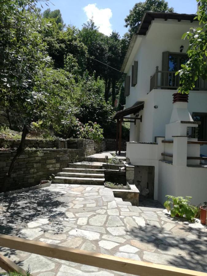 Villa Delux House In Tsangarada Tsagkarada Exterior foto